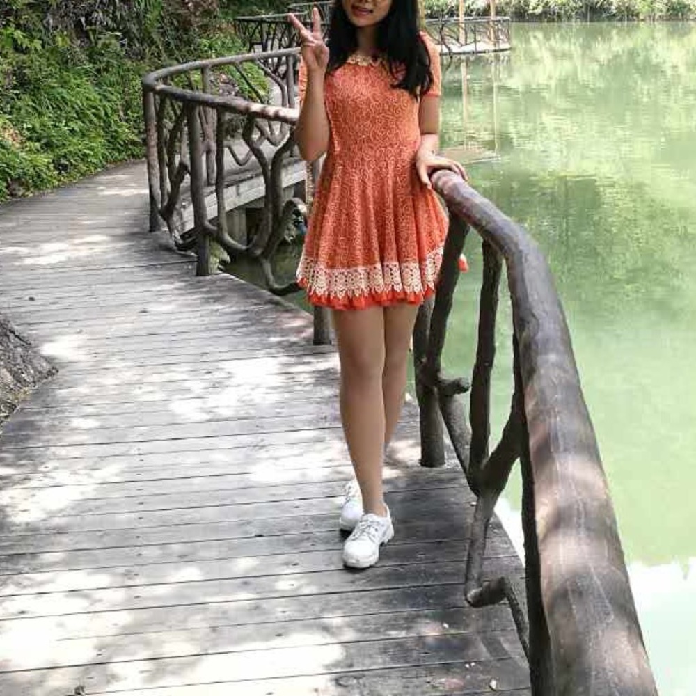 Embroidery Dress